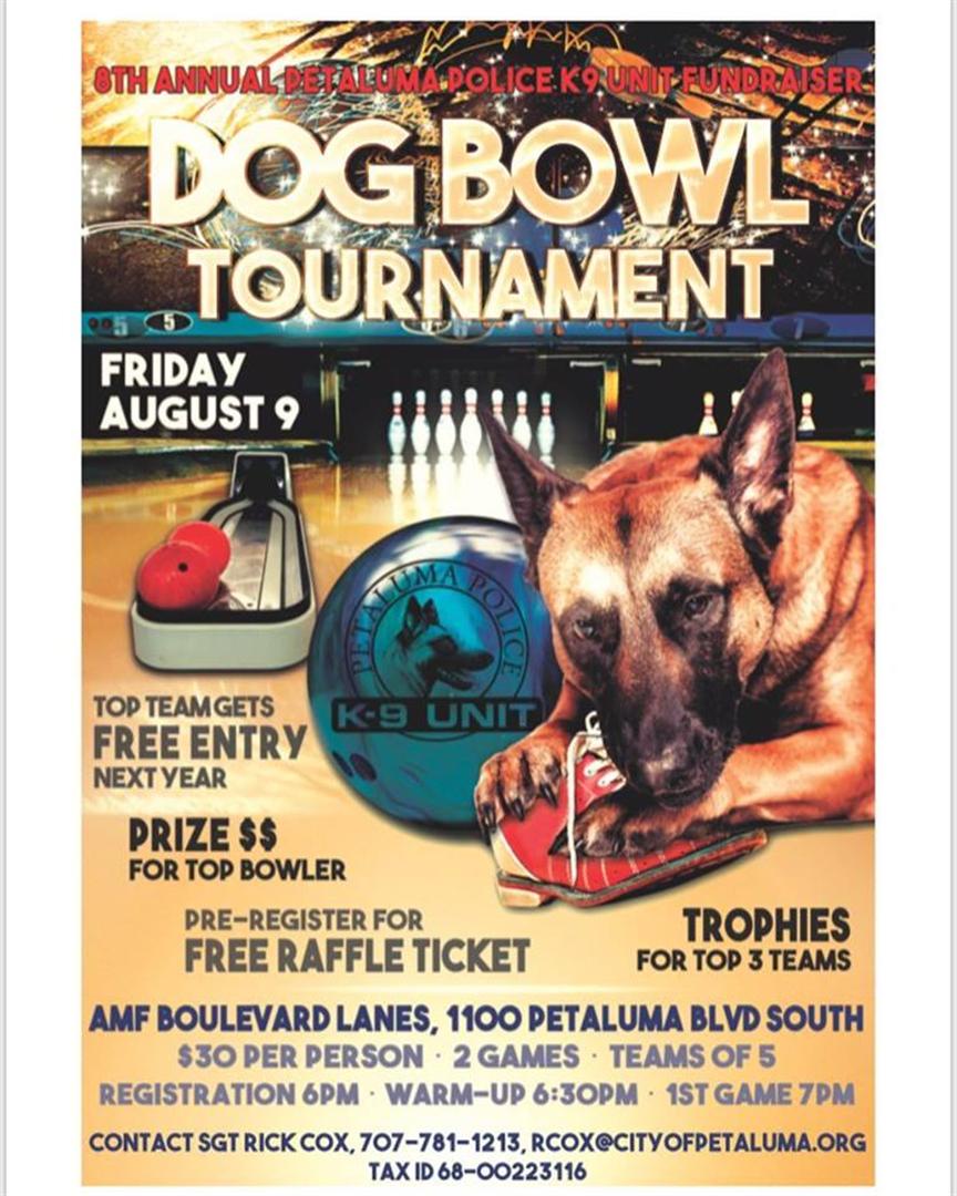 Petaluma Dog bowl